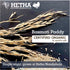 Hetha Basmati Paddy
